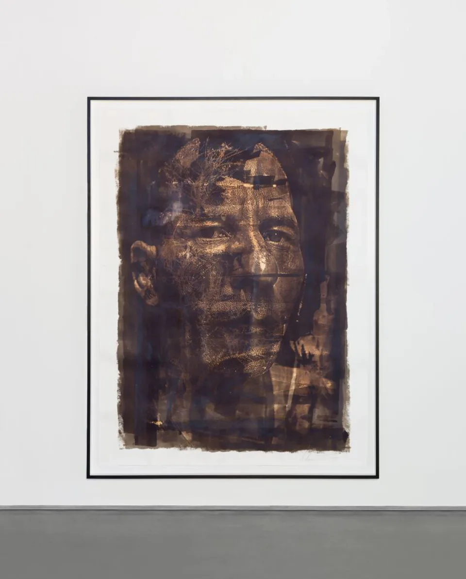 Dilacerar Series #01 — Paper work, 2014
