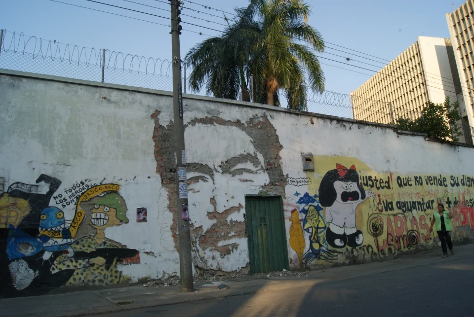Scratching the Surface — Walls work, 2011, Colombia