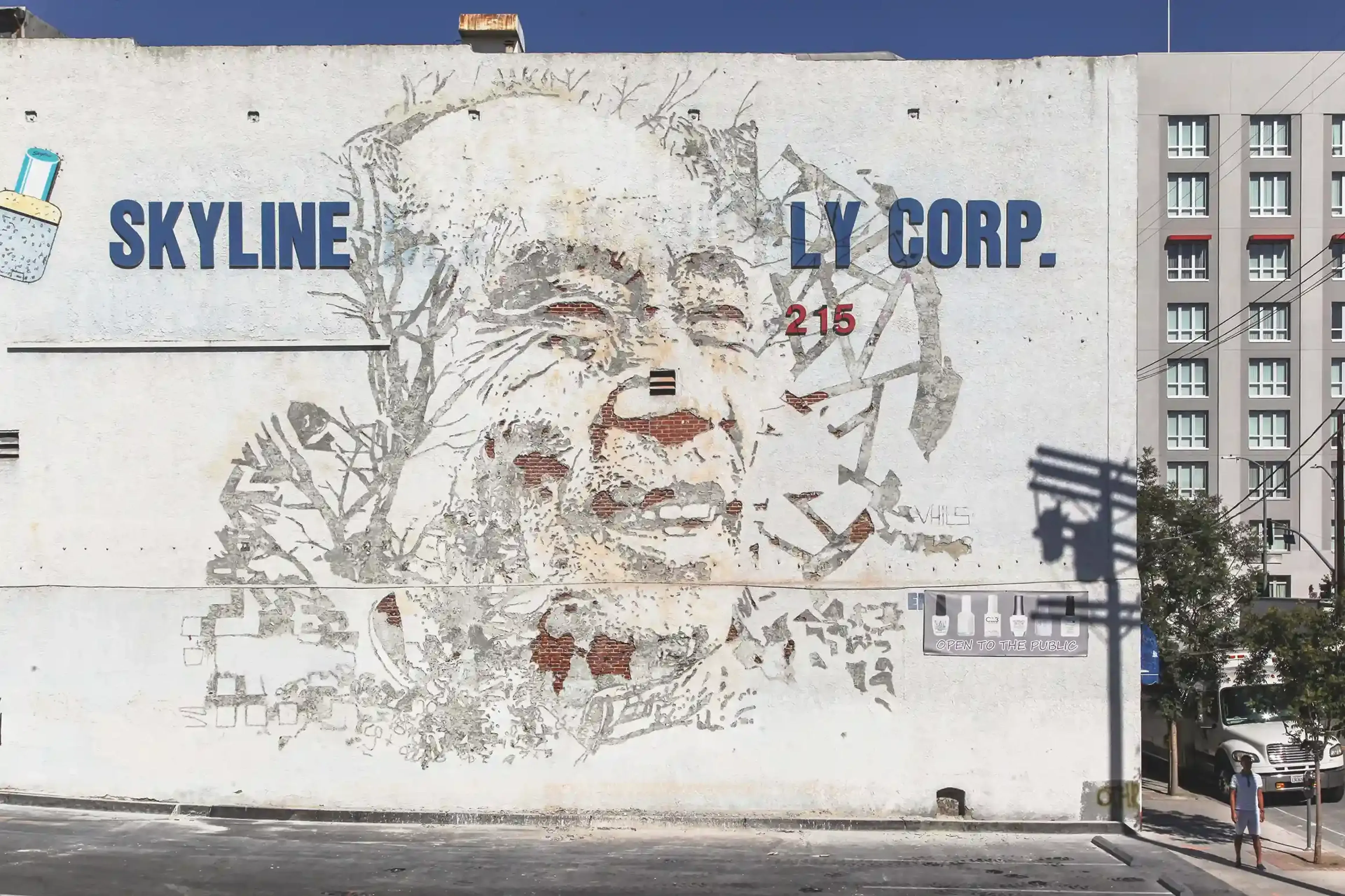 Scratching the Surface, Los Angeles — Walls work, 2014, Los Angeles, United States
