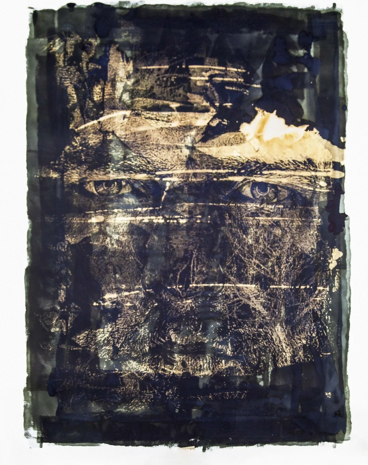 Dilacerar Series #05 — Paper work, 2014